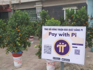 Pi Network