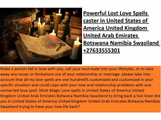 Do you need a lost love specialist +27633555301