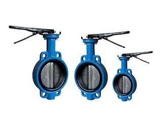 BUTTERFLY VALVES IN KOLKATA